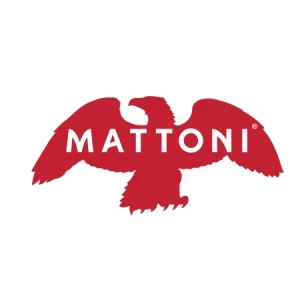 Mattoni